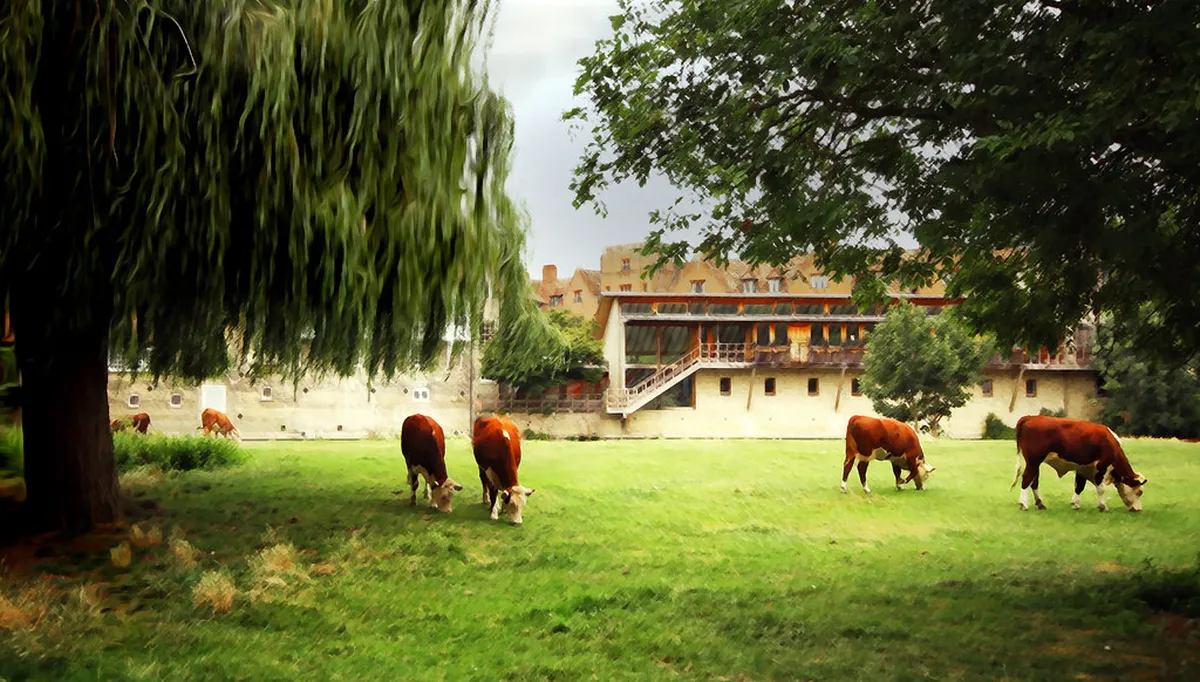 Hiroshima Winter Events 2026: Best Festivals and Guide