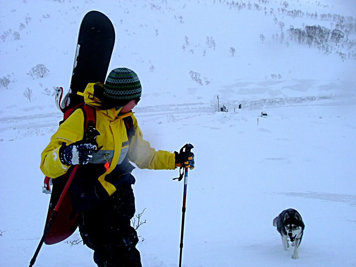 Niseko Winter Events 2026: Your Ultimate Guide