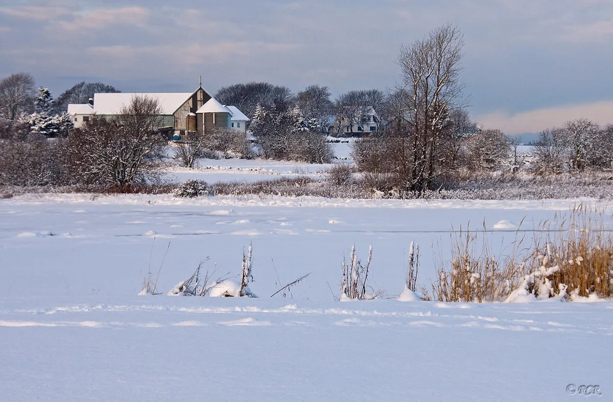 Stavanger Winter Events 2026: A Complete Guide